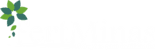 Fetminas